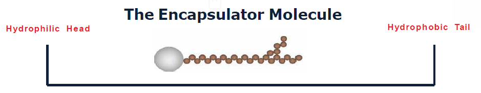 F500 Encapsulator Molecule